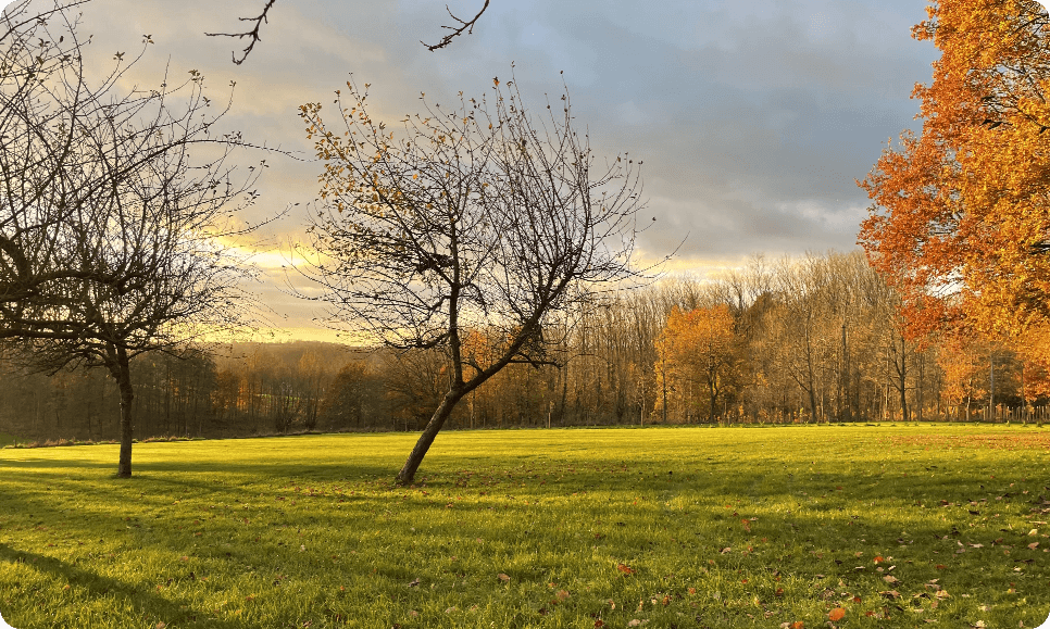 De Vlaamse Ardennen zijn rijk aan cultureel erfgoed