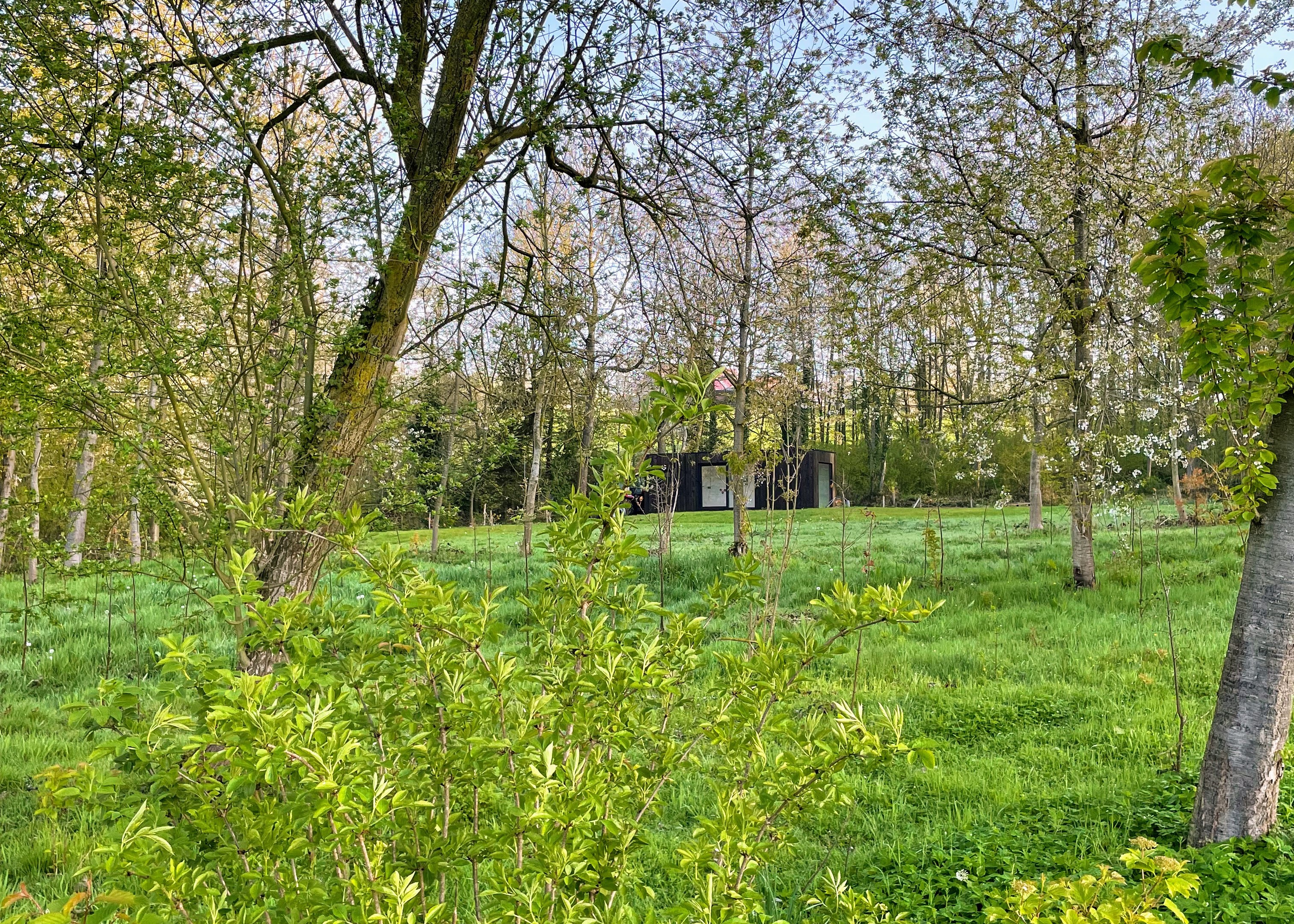 Onthaasten in een oase van groen.